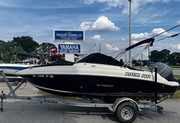 2020 Stingray 201 DS Boat